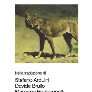 Qoelet Offerta