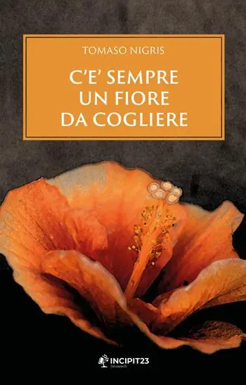 C‘è sempre un fiore da cogliere Direttamente Dal Produttore