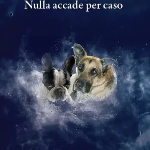 Must-Have Nulla accade per caso