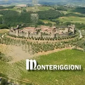 Monteriggioni Pagamento Sicuro