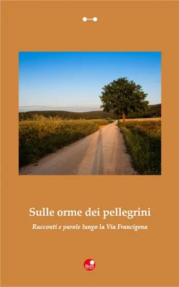 Sulle orme dei Pellegrini. Racconti e parole lungo la Via Francigena Solo Oggi
