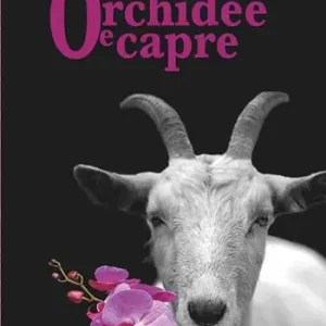 Super Prezzo Orchidee e capre