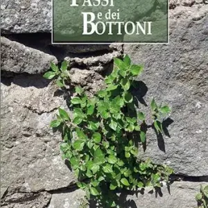 Offerta Lampo Il conto dei passi e dei bottoni