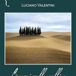 Cipressi sulle colline Affare