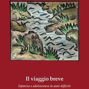 Il viaggio breve. Infanzia e adolescenza in anni difficili Offerta