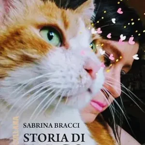 Storia di Falco Ultima Occasione
