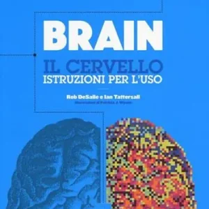Brain. Il cervello. Istruzioni per l‘uso Prezzo Conveniente