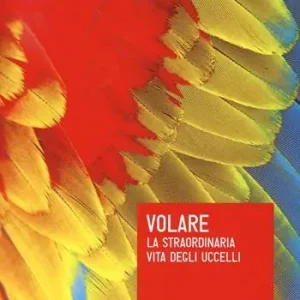 Novità Volare. La straordinaria vita degli uccelli