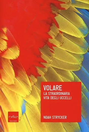 Novità Volare. La straordinaria vita degli uccelli