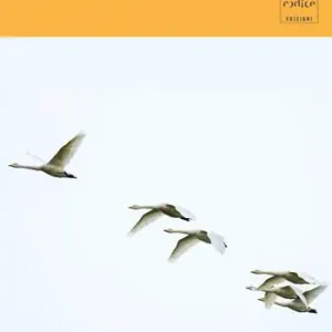 Subito Disponibile Senza confini. Le straordinarie storie degli animali migratori