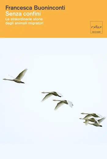 Subito Disponibile Senza confini. Le straordinarie storie degli animali migratori