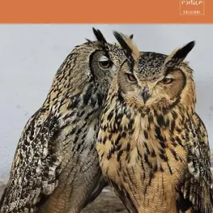 Ultima Occasione Senti chi parla. Cosa si dicono gli animali