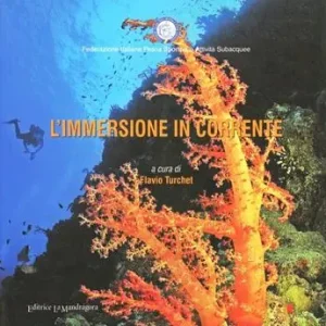Professionale L‘ immersione in corrente