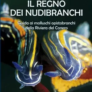 Affare Il regno dei nubibranchi. Guida ai molluschi opistobranchi della riviera del Conero. Ediz. illustrata