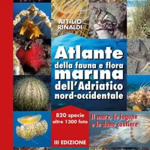 Ultime Pezzi Atlante della fauna e flora marina dell‘Adriatico nord-occidentale