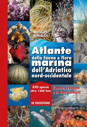 Ultime Pezzi Atlante della fauna e flora marina dell‘Adriatico nord-occidentale