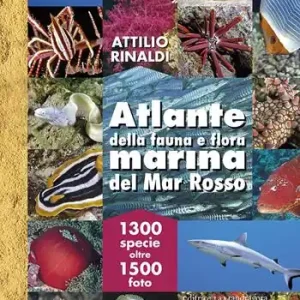 Super Prezzo Atlante della fauna e flora marina del Mar Rosso. Ediz. illustrata