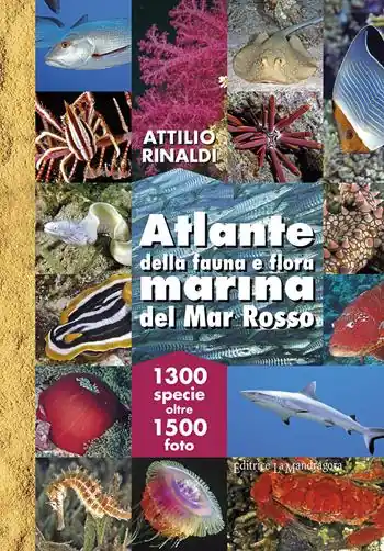 Super Prezzo Atlante della fauna e flora marina del Mar Rosso. Ediz. illustrata