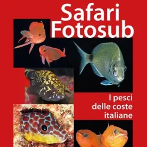 Safari fotosub. I pesci delle coste italiane. Ediz. illustrata Soddisfatti O Rimborsati
