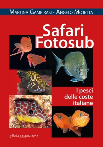 Safari fotosub. I pesci delle coste italiane. Ediz. illustrata Soddisfatti O Rimborsati