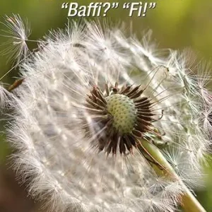 Promozione Camera 18. «Baffi?« «Fì!»