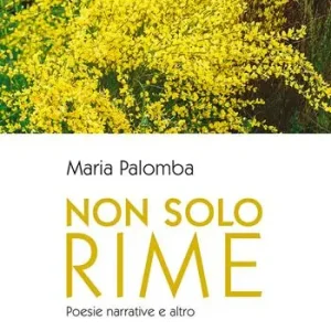 Ordina Subito Non solo rime. Poesie narrative e altro