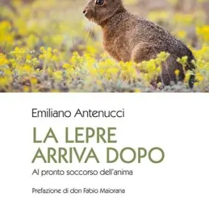La lepre arriva dopo. Al pronto soccorso dell‘anima Scelto Dai Clienti