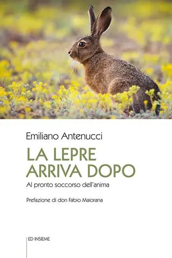 La lepre arriva dopo. Al pronto soccorso dell‘anima Scelto Dai Clienti