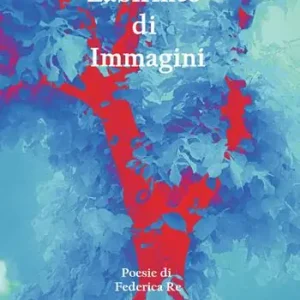 Labirinto di immagini Offerta Lampo