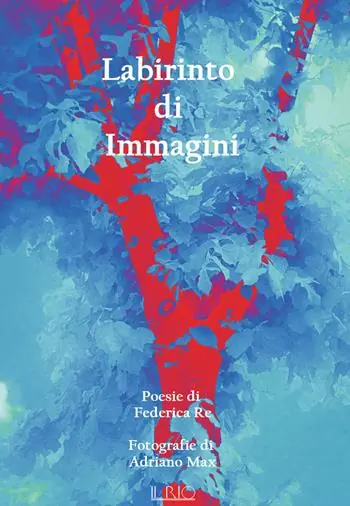 Labirinto di immagini Offerta Lampo