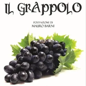Il grappolo Economico