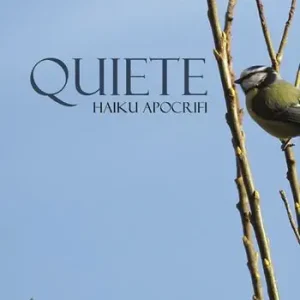 Quiete. Haiku apocrifi Promozione Esclusiva