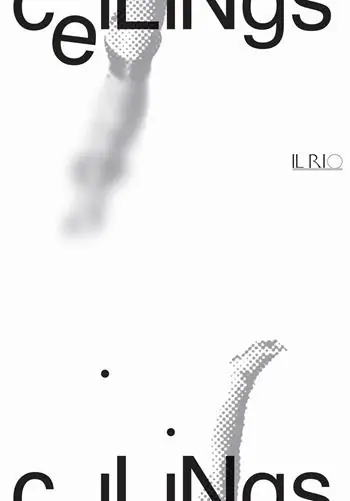 Ceilings 2020/2021. Ediz. illustrata Affare