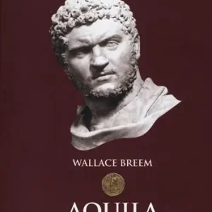Aquila nella neve Spedito Oggi