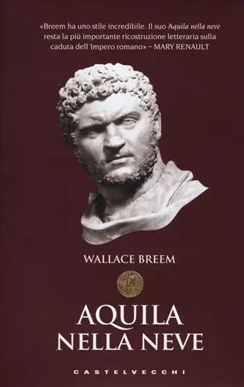 Aquila nella neve Spedito Oggi