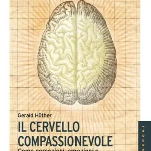 Il cervello compassionevole. Come percezioni, emozioni e conoscenza possono trasformare le nostre capacità intellettive Bestseller