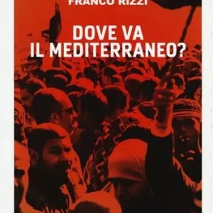 Dove va il Mediterraneo? Subito Disponibile