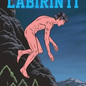 Occasione Imperdibile Labirinti. Vol. 2