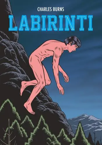 Occasione Imperdibile Labirinti. Vol. 2