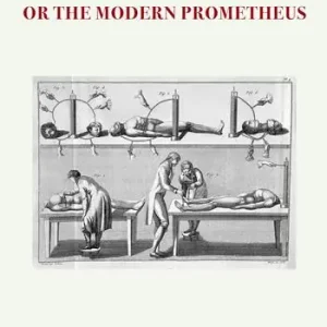 Professionale Frankenstein or the modern Prometheus