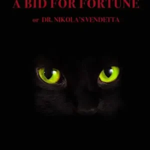 A bid for fortune Occasione Imperdibile