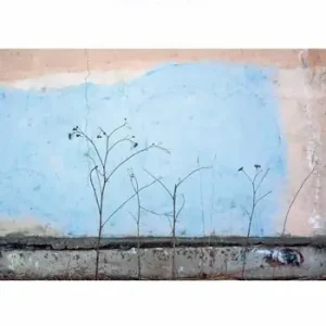 Acquista Ora Le poesie