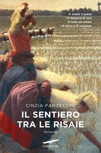 Di Tendenza Il sentiero tra le risaie