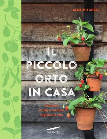 Il piccolo orto in casa Ultima Occasione