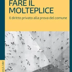 Fare il molteplice. Il diritto privato alla prova del comune Vendita Finale