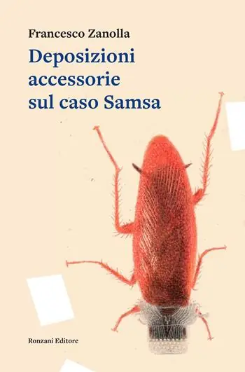 Consegna Rapida Deposizioni accessorie sul caso Samsa