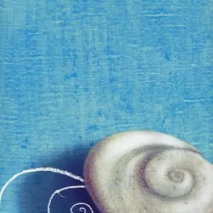 Promo Stagionale Gli occhi di Shiva