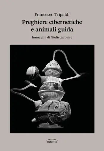 Preghiere cibernetiche e animali guida Offerta Lampo