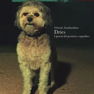 Non Perdere Dries. I giorni del pensiero cagnolino