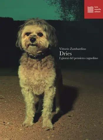 Non Perdere Dries. I giorni del pensiero cagnolino
